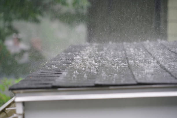 Best Chimney Flashing Repair  in Hawaiian Acres, HI
