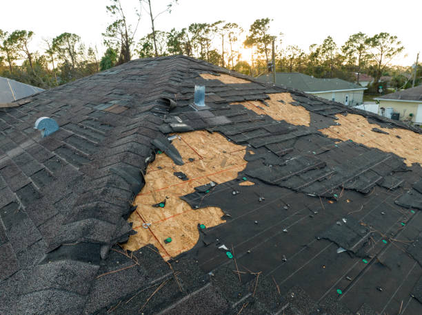 Skylights in Hawaiian Acres, HI